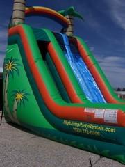 2 Lane Tropical Slide 22ft High 2 Lane Tropical Slide 22ft High